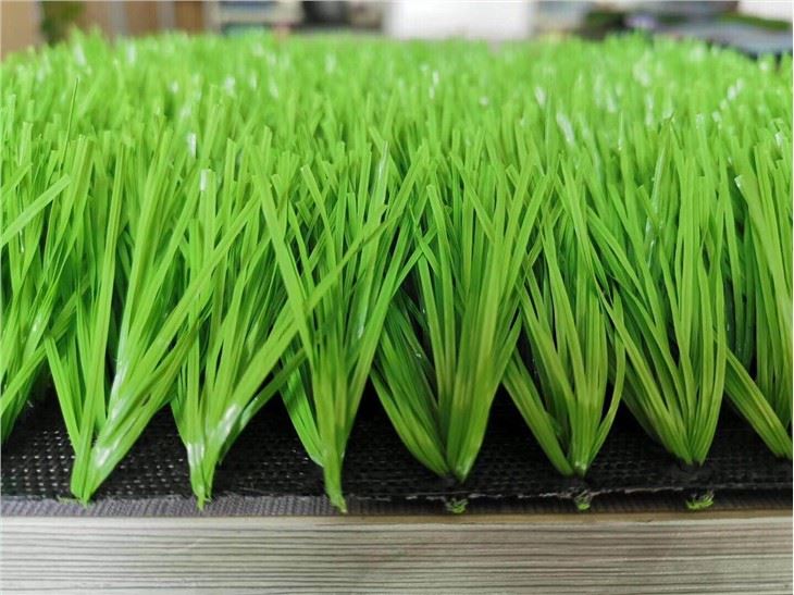 Popular Football Field Fake Grass Carpet